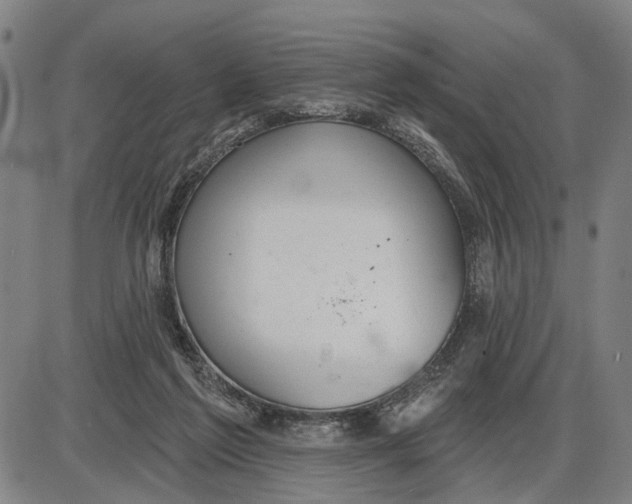 X0000085000213200703261137