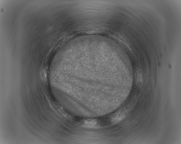 X0000085000214200703261137