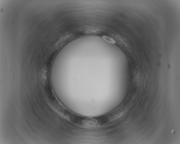 X0000085000215200703261137