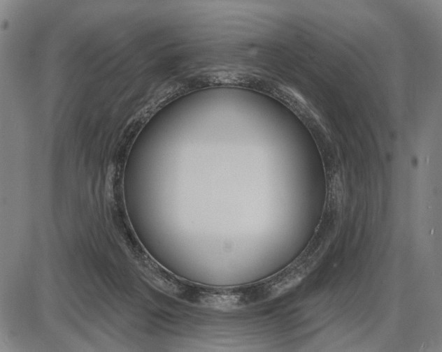 X0000085000217200703261137