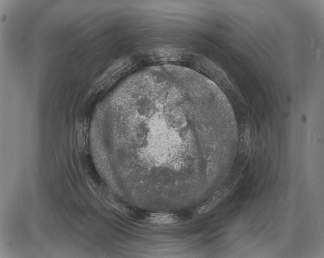 X0000085000218200703261137