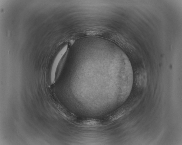 X0000085000219200703261137