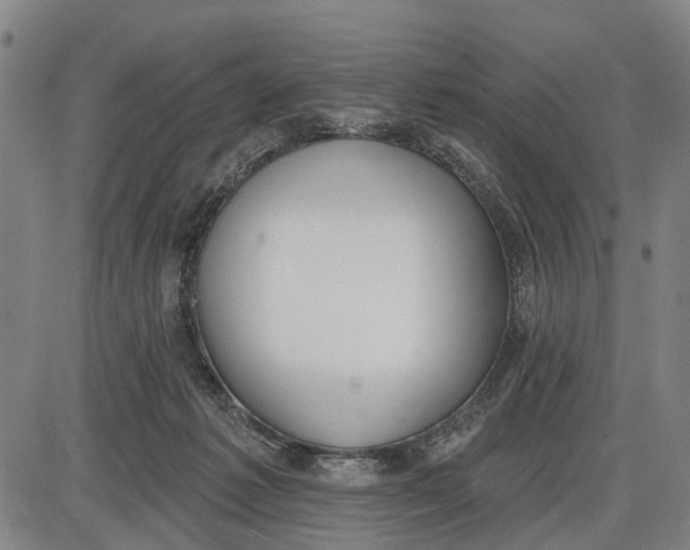 X0000085000221200703261137