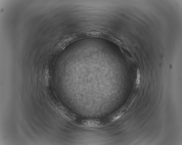 X0000085000223200703261137