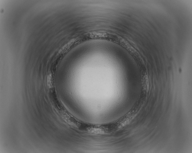 X0000085000224200703261137