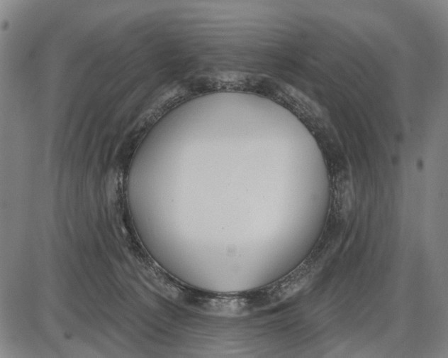 X0000085000225200703261137