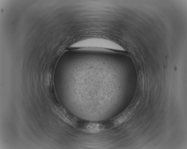 X0000085000227200703261137