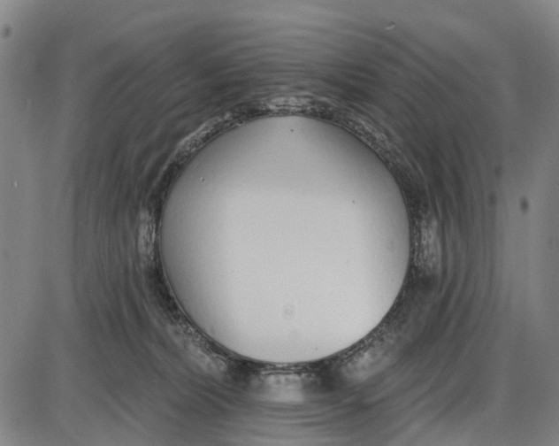 X0000085000228200703261137