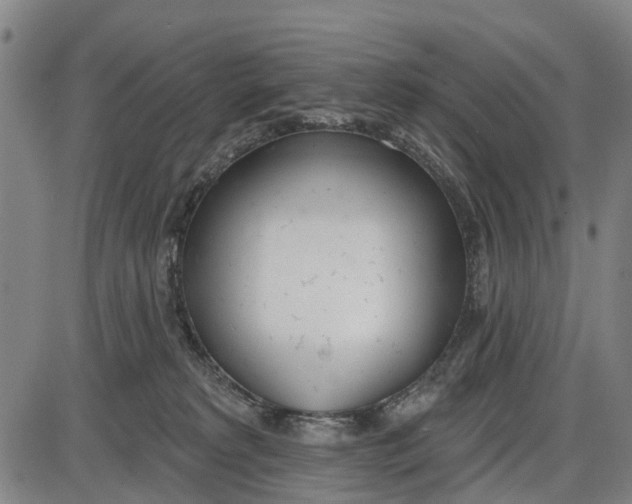 X0000085000229200703261137