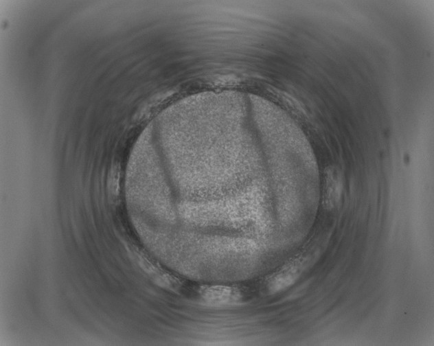 X0000085000230200703261137