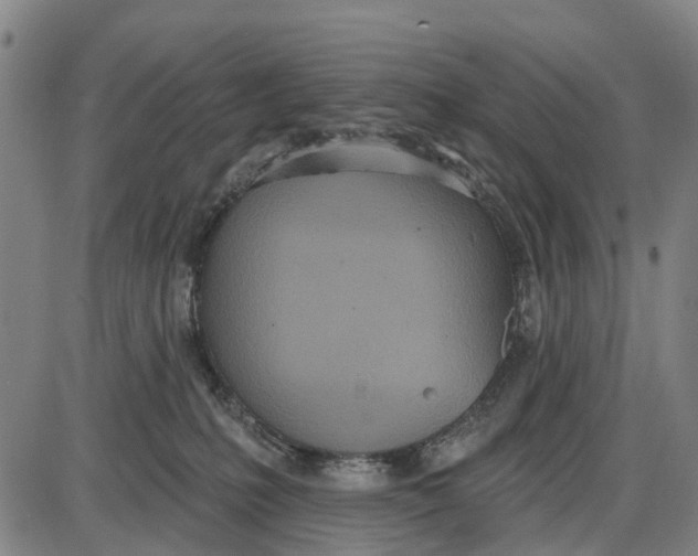 X0000085000231200703261137