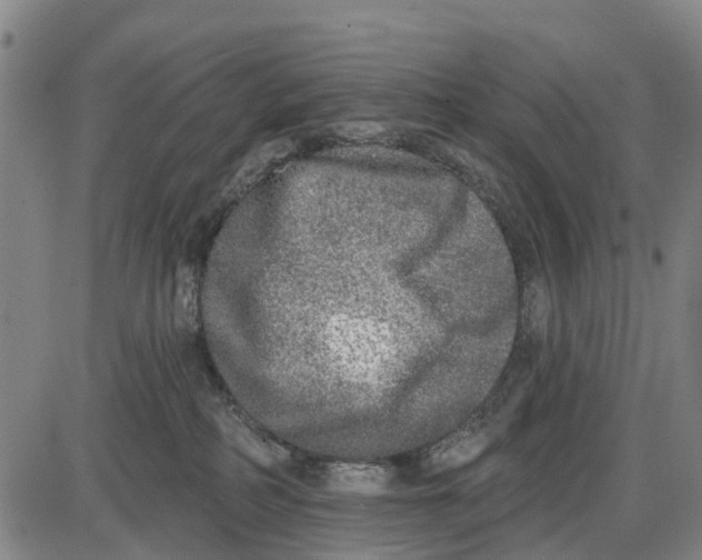 X0000085000234200703261137