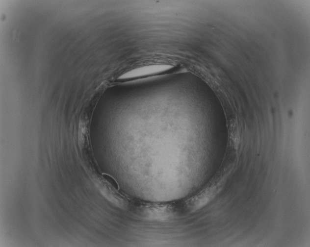 X0000085000235200703261137