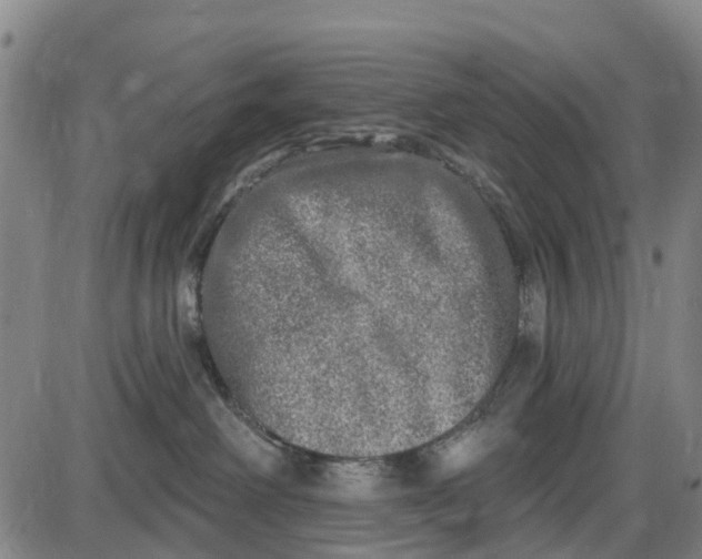 X0000085000238200703261137