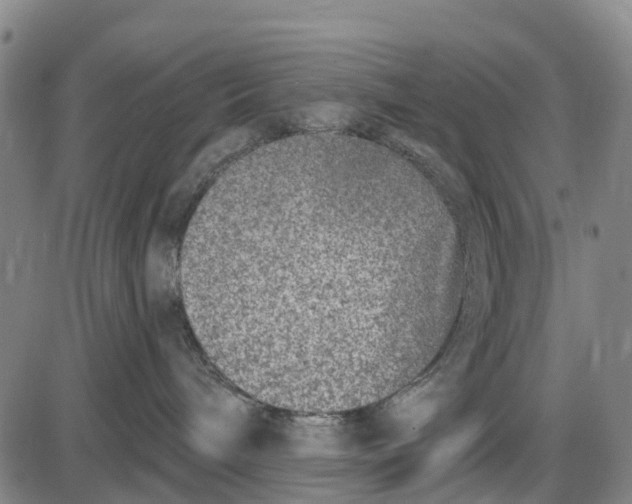 X0000085000240200703261137