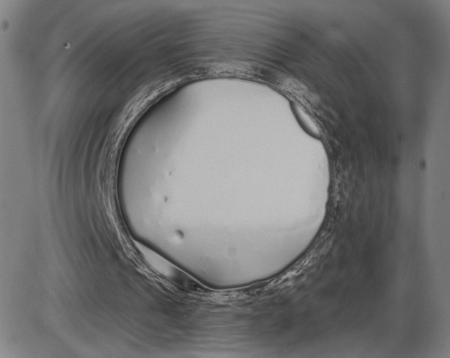 X0000085000241200703261136