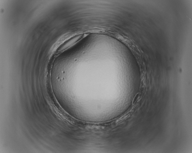 X0000085000242200703261136