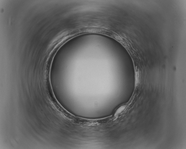 X0000085000243200703261136