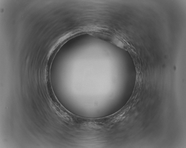 X0000085000244200703261136