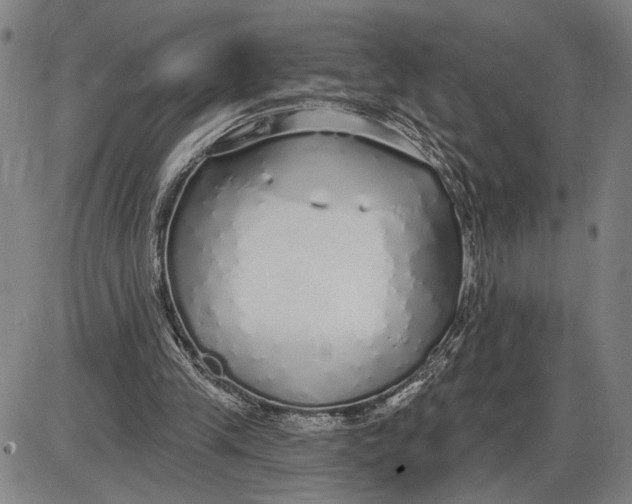 X0000085000245200703261136