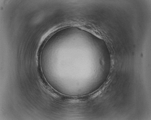 X0000085000246200703261136