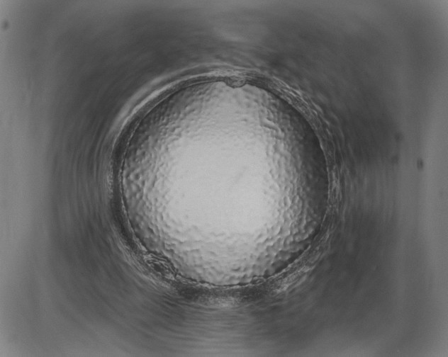 X0000085000247200703261136