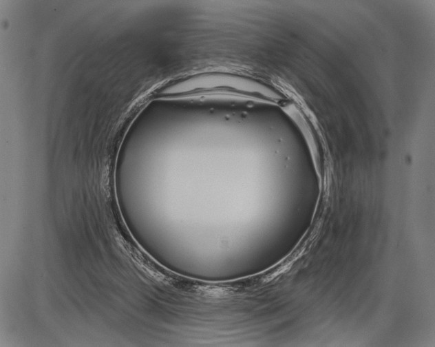 X0000085000249200703261136