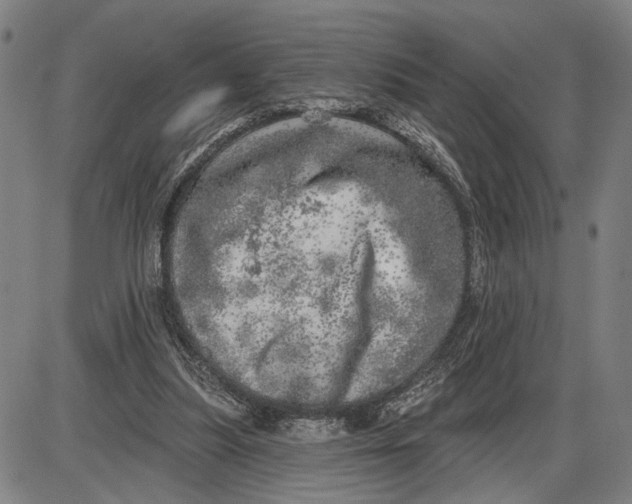 X0000085000251200703261136