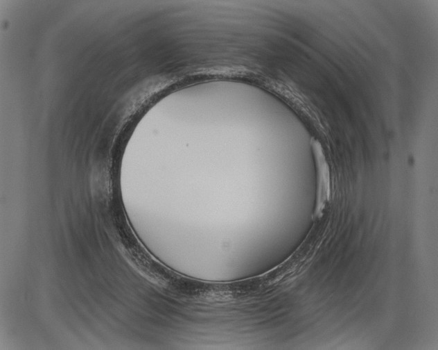 X0000085000252200703261136