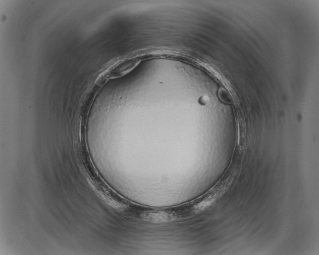 X0000085000253200703261136