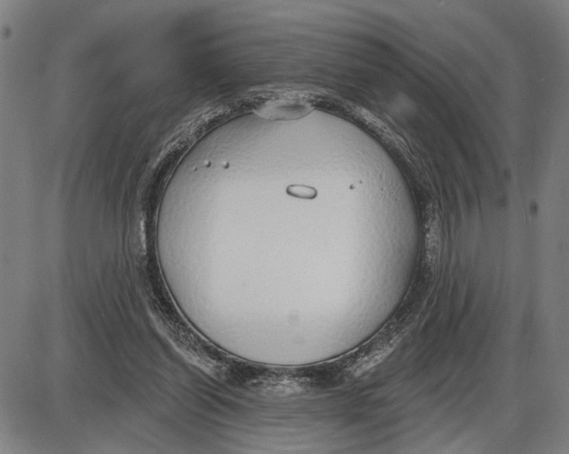 X0000085000254200703261136