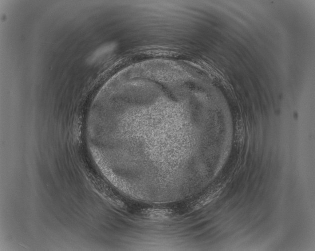 X0000085000255200703261136