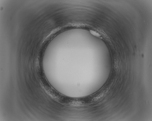 X0000085000256200703261136