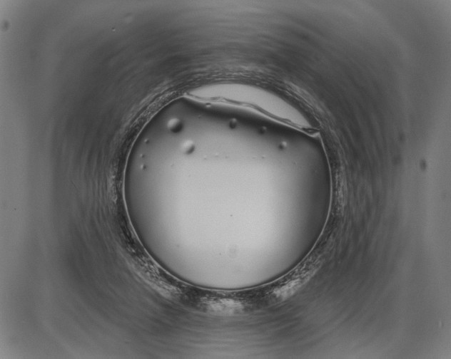 X0000085000258200703261136