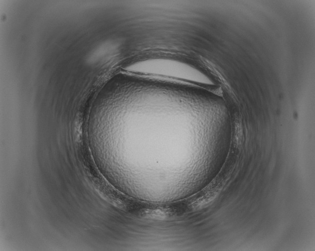 X0000085000259200703261136