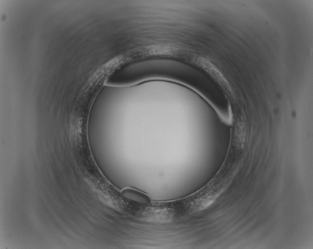 X0000085000260200703261136