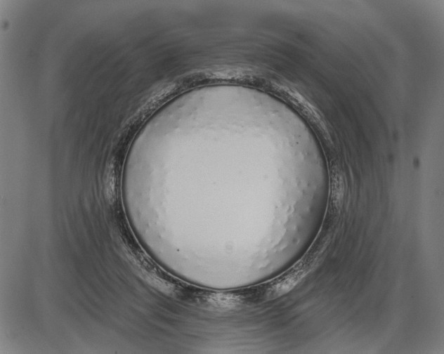 X0000085000261200703261136