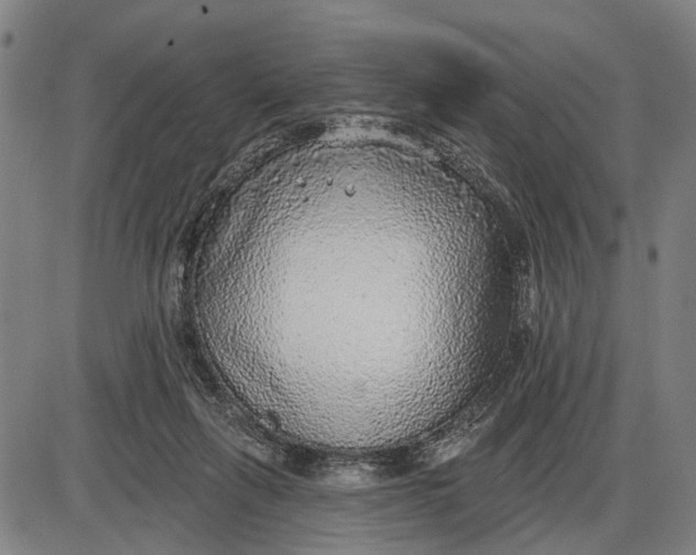 X0000085000263200703261136