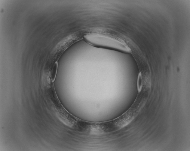 X0000085000264200703261136