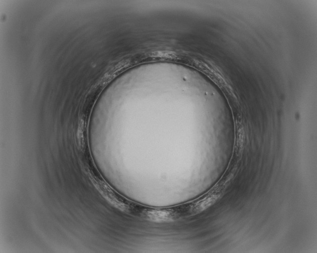 X0000085000265200703261136