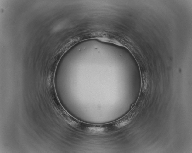 X0000085000266200703261136