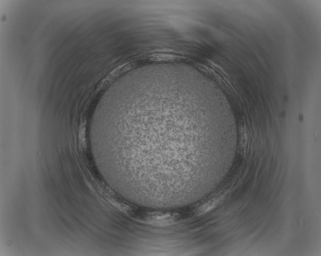 X0000085000267200703261136