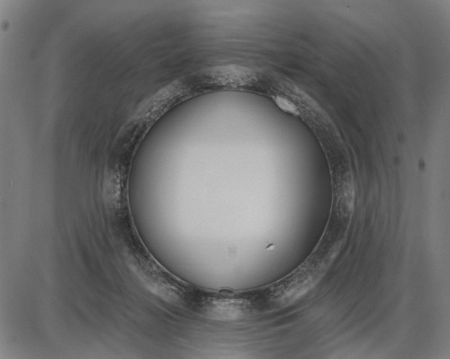 X0000085000268200703261136