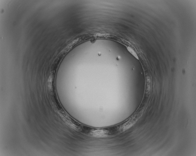 X0000085000269200703261136