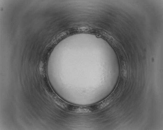 X0000085000270200703261136