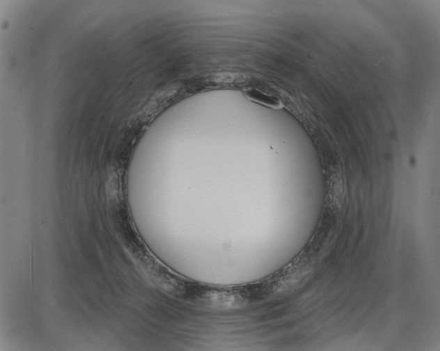 X0000085000272200703261136