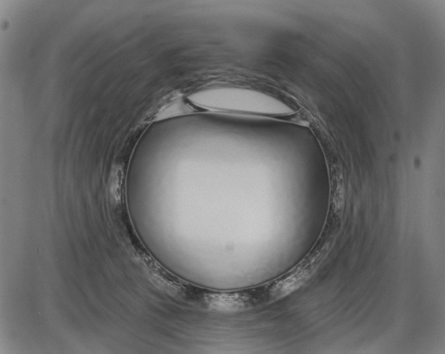 X0000085000273200703261136