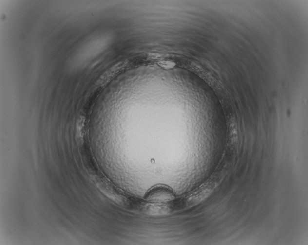 X0000085000275200703261136