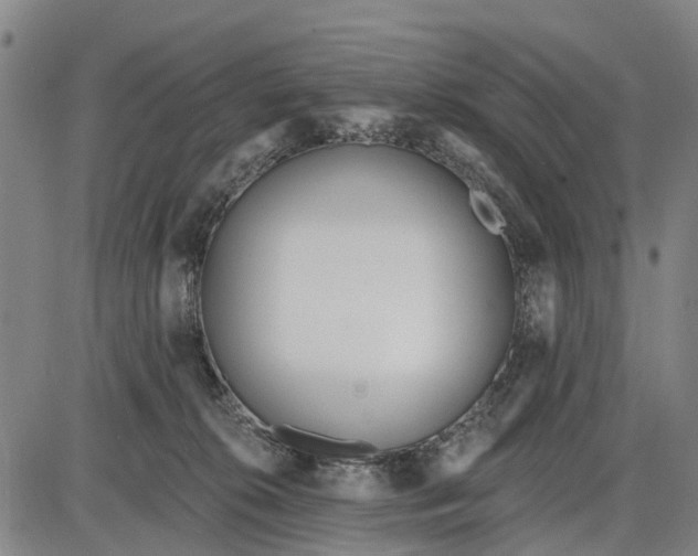 X0000085000276200703261136