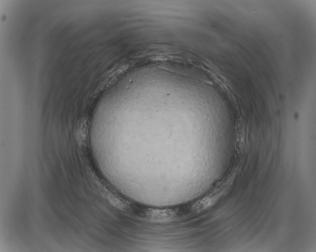 X0000085000277200703261136